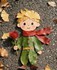 Le petit prince à dit :