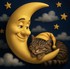 Au clair de lune