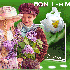 ♣ Muguet de mes ami(es) de C