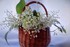 ♣ Muguet de mes ami(es) de V