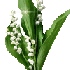 ♣ Muguet de mes ami(es) de V