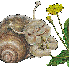 Escargot Mirabeau