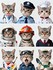 Les chats bien domestiqués.