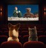 Je fais mon cinéma