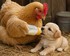 La mère poule