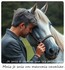 Citation