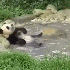 Barboter dans l'eau