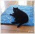 Le tapis rafraîchissant