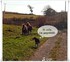 Quand Mistral (mon chien)