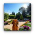 L'air de rien