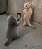 La pose l'instant d'une photo