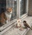 ♫ Le petit peintre a dit..�