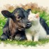 Un peu de tendresse