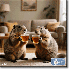 Les deux marmottes vous proposent