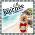 A la plage