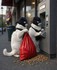 Les chats masqués