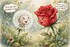 Le language des fleurs