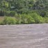 Les Canards font du Surf - video