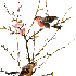 !!!!!!!!!