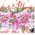 << avec moi >>>