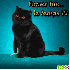 <<< petit cadeau pour