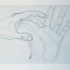 Mains (crayon de papier)