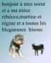 bonjour a toute les bloggeuses