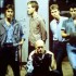 Midnight Oil - (Période 1977-