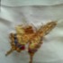 papillons