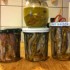 Anchois en filets à l'huile d'olive