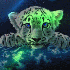 belle images de tigres blanc::