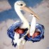 images d'enfants et bébés!!!