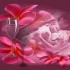 belle image