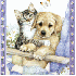 j'adore les animaux chiens ou 