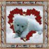 j'adore les animaux chiens ou 
