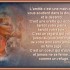 quelques citations a lire