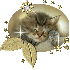 peut ce qui adore les chats...