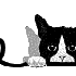 peut ce qui adore les chats...