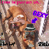 eh voila????