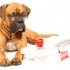 voici mes boxers newton et bud