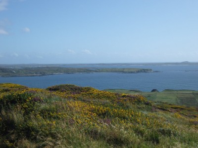 péninsule Clifden
