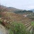 Porto 2009