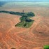 La déforestation