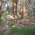 Milieu naturels