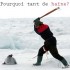 Le massacre des phoques