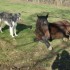 UNE FAMILLE POUR LOUCRUP