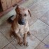 UNE FAMILLE ADOPTIVE POUR IGOR HYPER URG