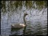 Sur les bords de Seine