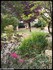 Mon jardinet