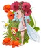 Coquelicots